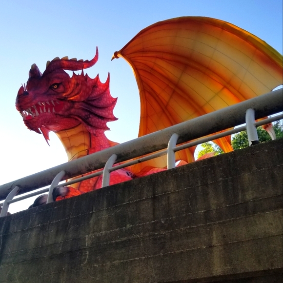 Meet your Posher, Lisa - Picture 2 of 12